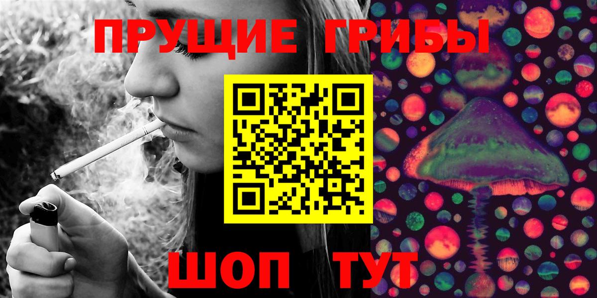 Чернушка  купить закладку  Вход с VPN  Псилоцибиновые грибы ЛСД 