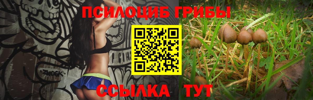 Галлюциногенные грибы Magic Shrooms Чернушка